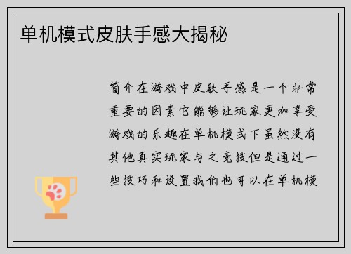 单机模式皮肤手感大揭秘
